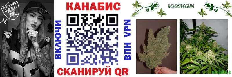 Бошки марихуана конопля  Крым 